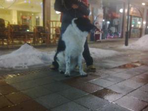 Прикачена снимка