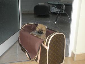 Прикачена снимка