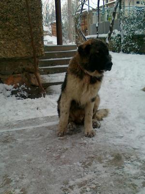 Прикачена снимка