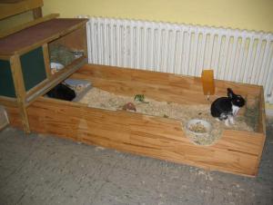 Прикачена снимка