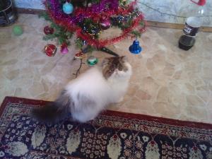 Прикачена снимка