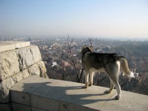 Прикачена снимка