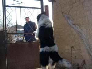 Прикачена снимка
