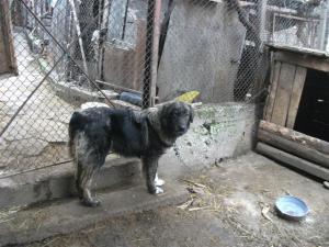 Прикачена снимка