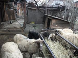 Прикачена снимка