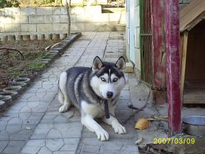 Прикачена снимка