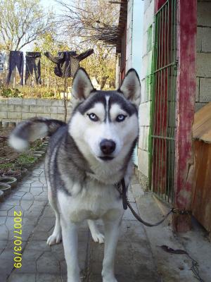 Прикачена снимка
