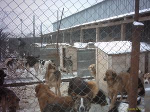 Прикачена снимка