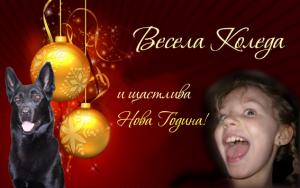 Прикачена снимка