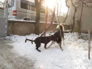Прикачена снимка