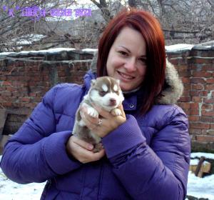 Прикачена снимка
