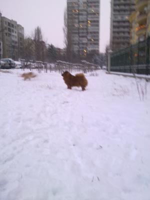 Прикачена снимка
