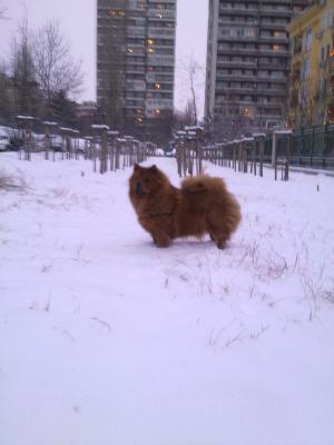 Прикачена снимка