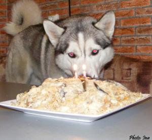 Прикачена снимка