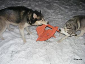 Прикачена снимка