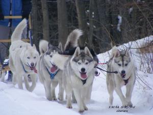 Прикачена снимка