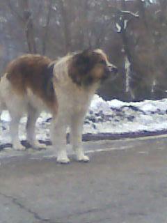 Прикачена снимка