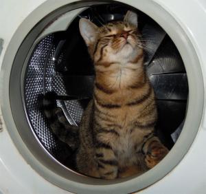 Прикачена снимка