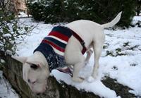 Прикачена снимка