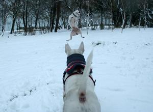 Прикачена снимка