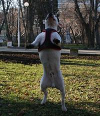 Прикачена снимка