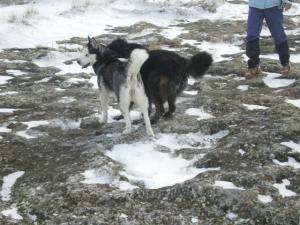 Прикачена снимка