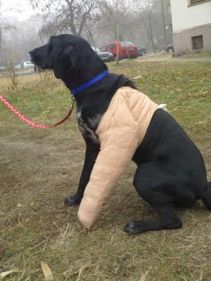 Прикачена снимка