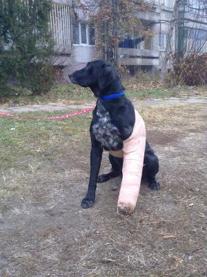 Прикачена снимка