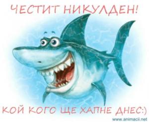 Прикачена снимка