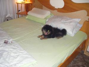 Прикачена снимка