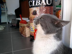 Прикачена снимка