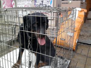 Прикачена снимка