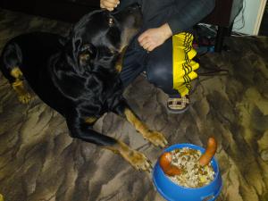 Прикачена снимка
