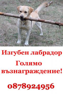 Прикачена снимка