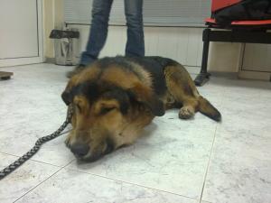 Прикачена снимка