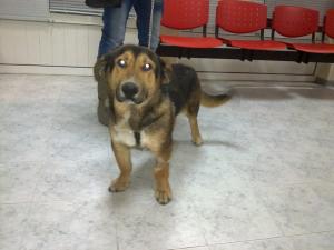 Прикачена снимка