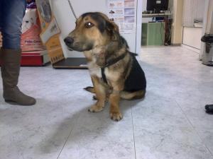 Прикачена снимка
