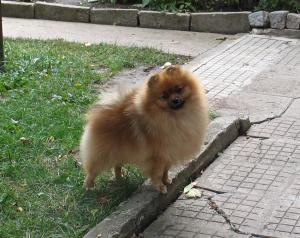 Прикачена снимка