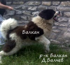 Прикачена снимка