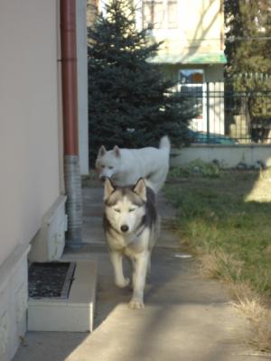 Прикачена снимка