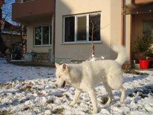 Прикачена снимка