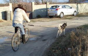 Прикачена снимка