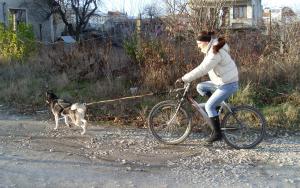 Прикачена снимка