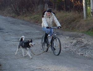 Прикачена снимка