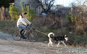 Прикачена снимка