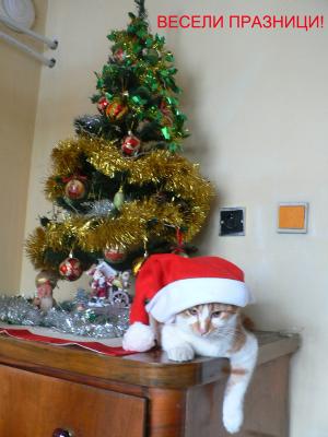 Прикачена снимка