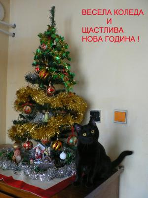 Прикачена снимка