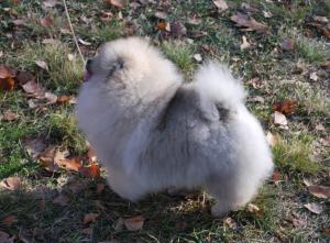 Прикачена снимка