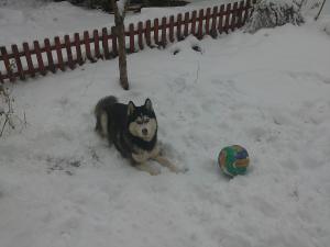 Прикачена снимка