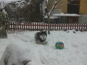 Прикачена снимка